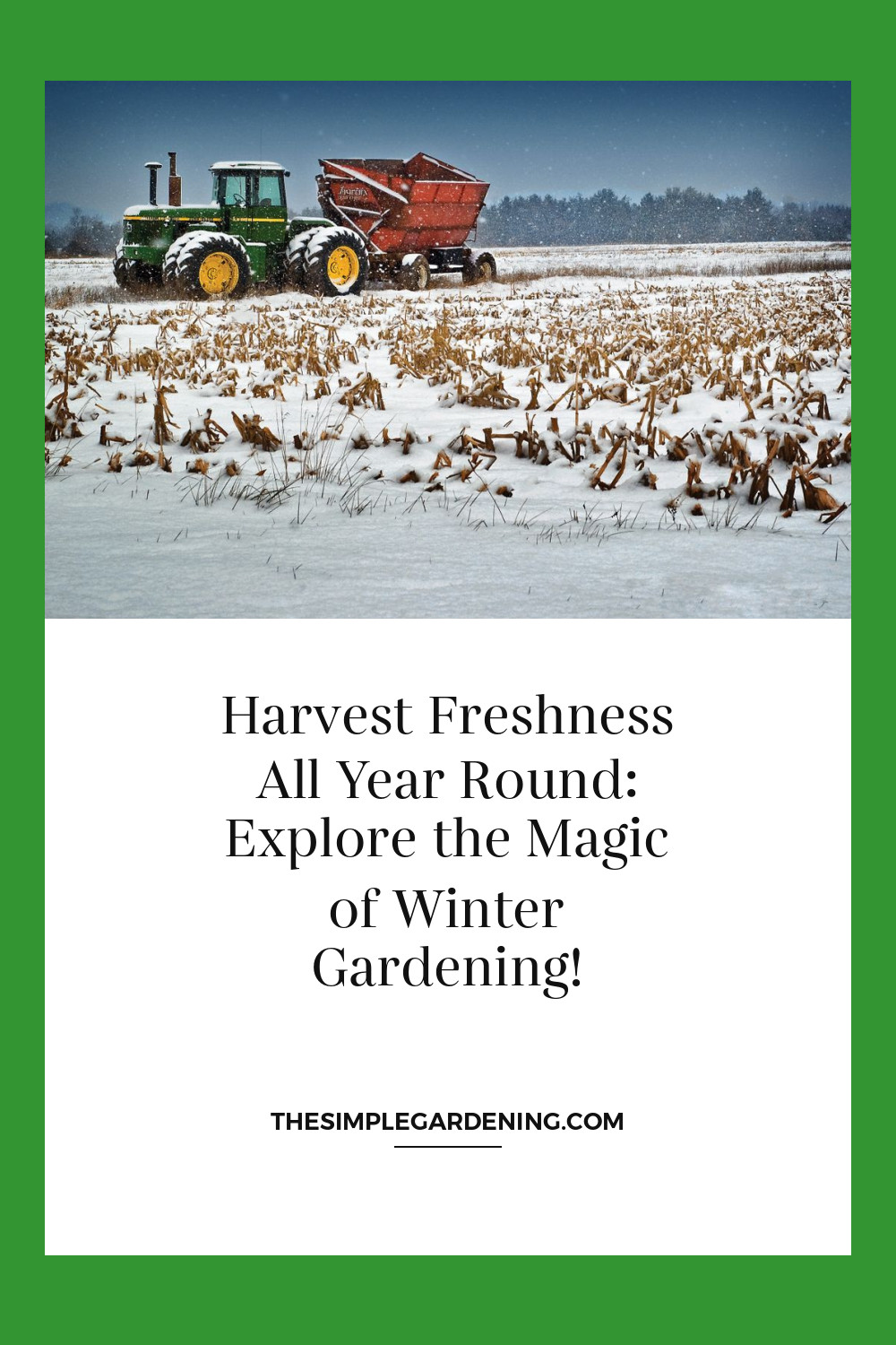 Harvest Freshness All Year Round: Explore the Magic of Winter Gardening!